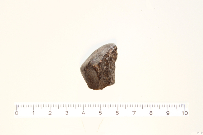 Meteorit NWA 869